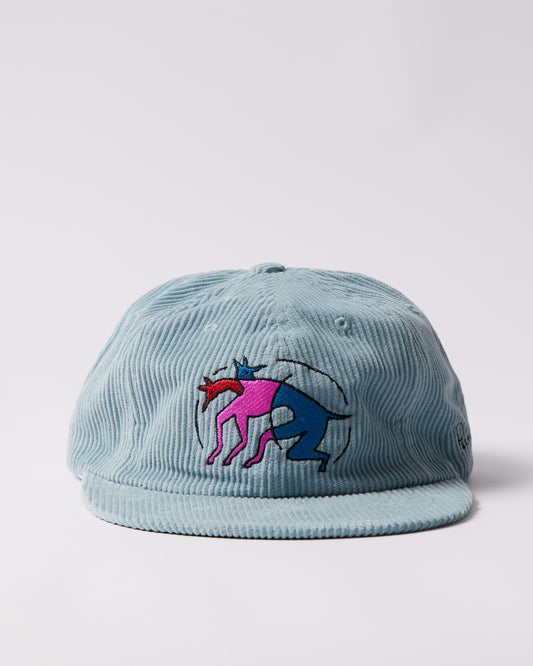 The zoomies 6 panel hat