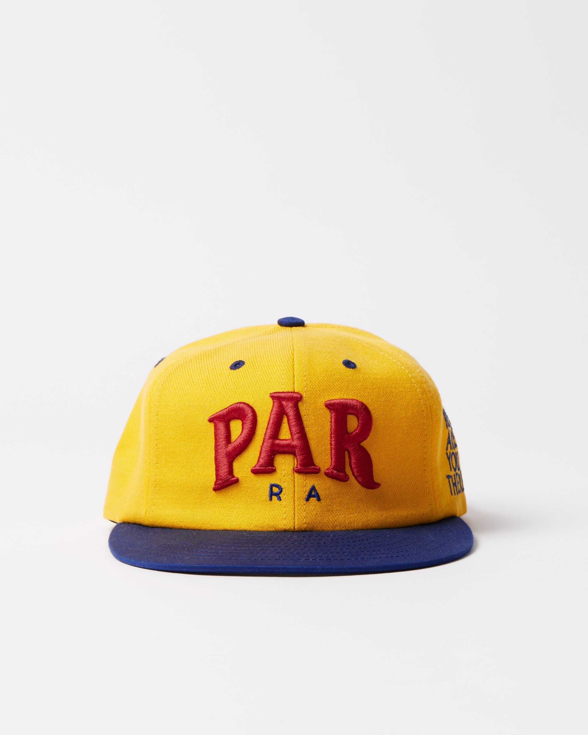 Dollar store 6 panel hat – by Parra EU