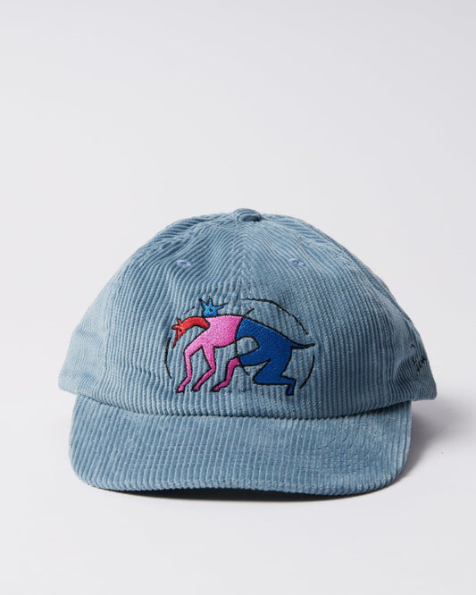 The zoomies 6 panel hat