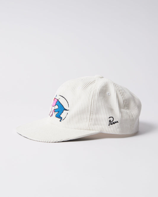 The zoomies 6 panel hat
