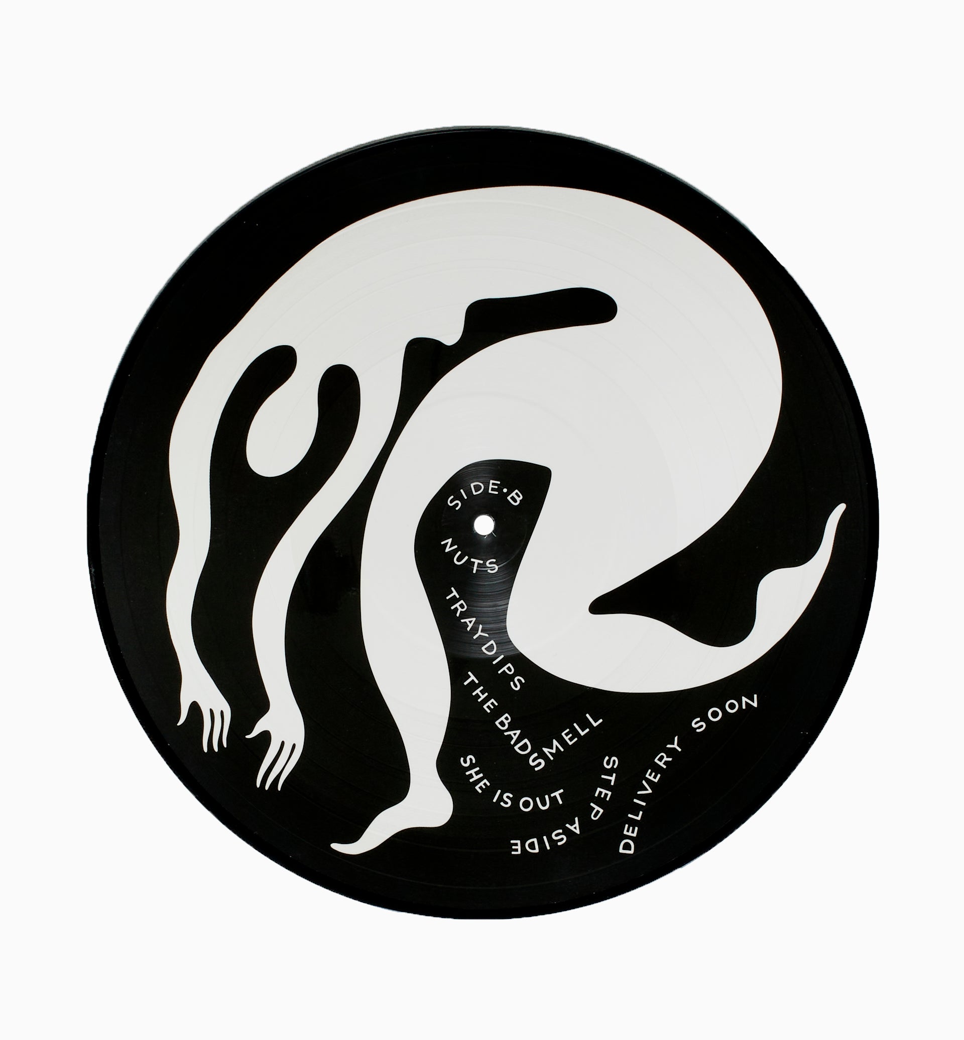 Parra - MICH - Nuts vinyl record